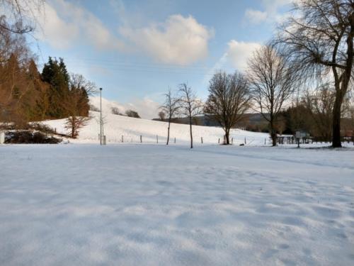 IMG 20190129 160234280 HDR