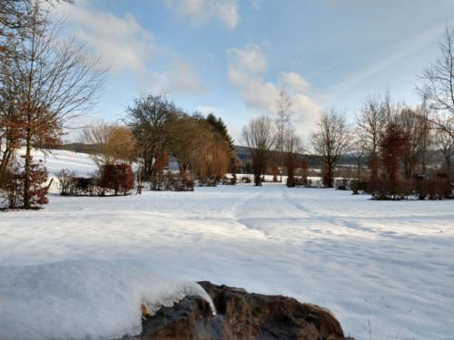 IMG 20190129 160452928 HDR