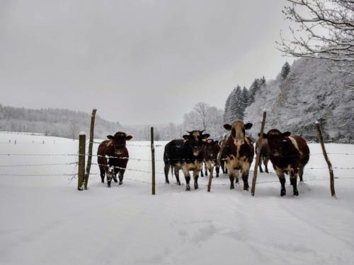 IMG 20190130 115221278 HDR